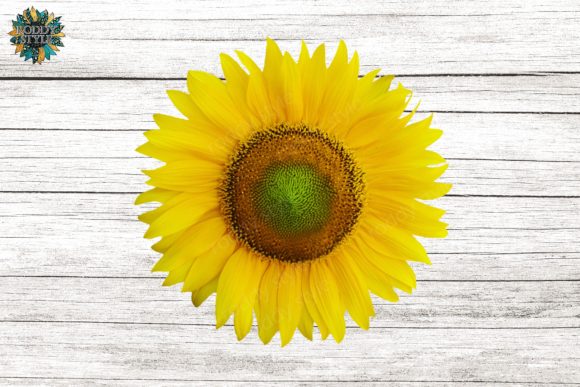 Download Sunflower Design PNG Sublimation - Premium Resources